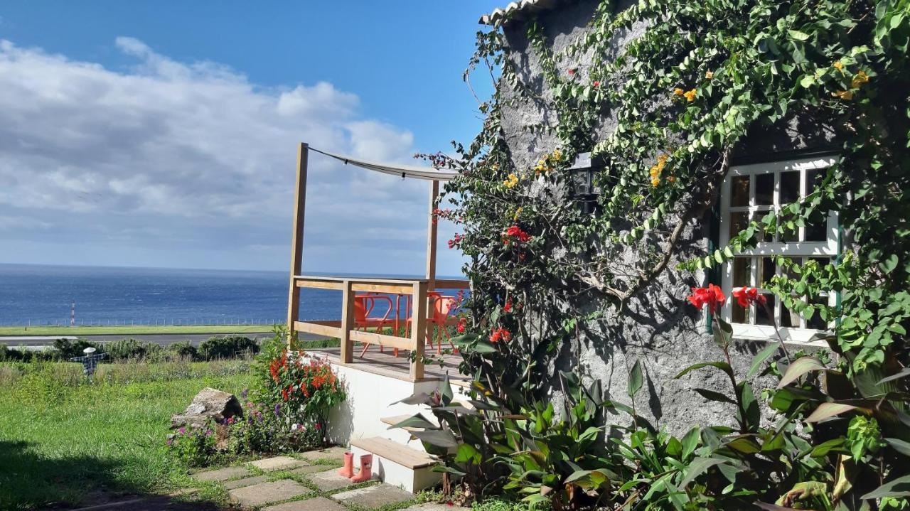 Quinta Das Buganvilias Castelo Branco  Buitenkant foto