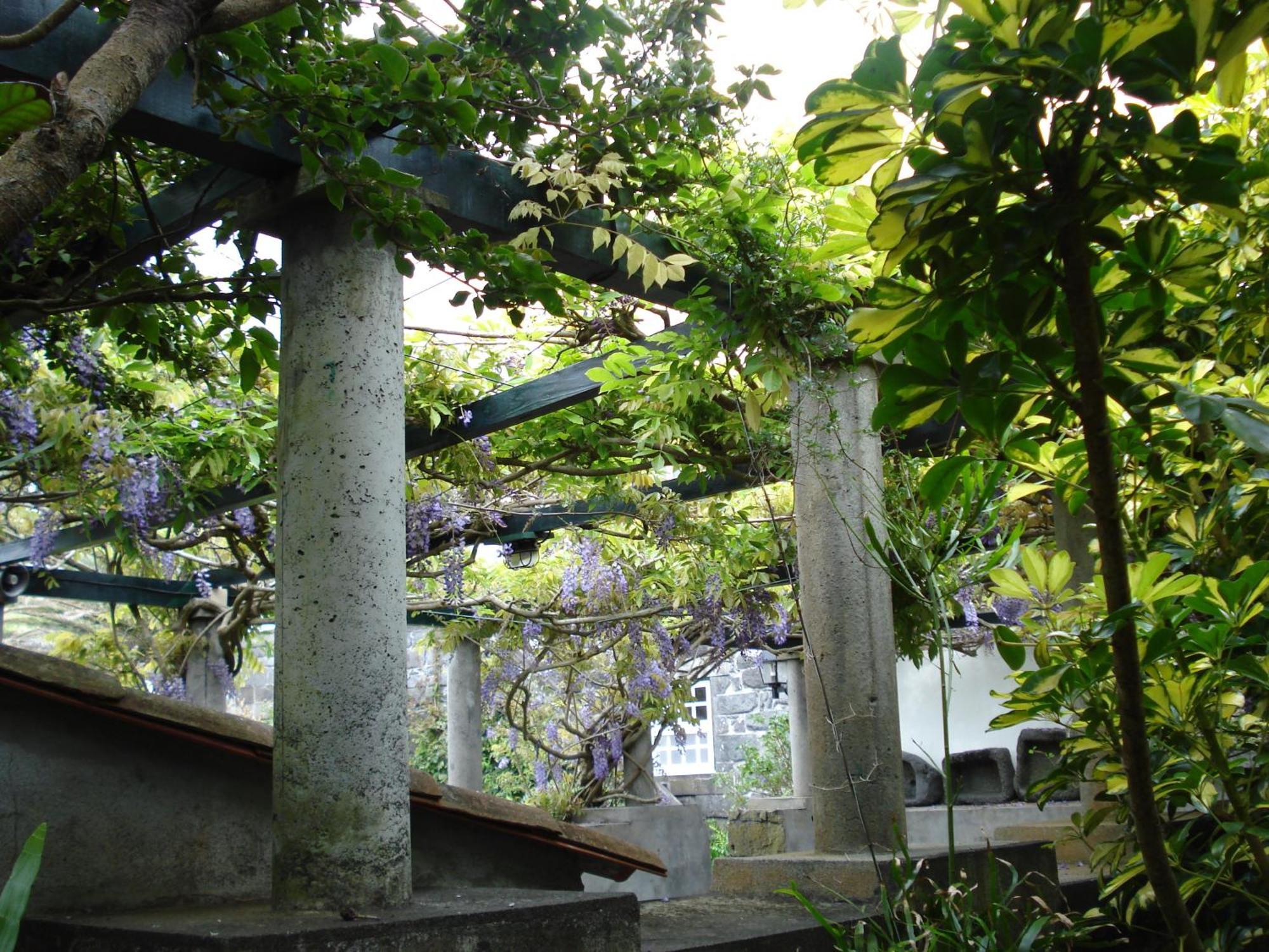 Quinta Das Buganvilias Castelo Branco  Buitenkant foto